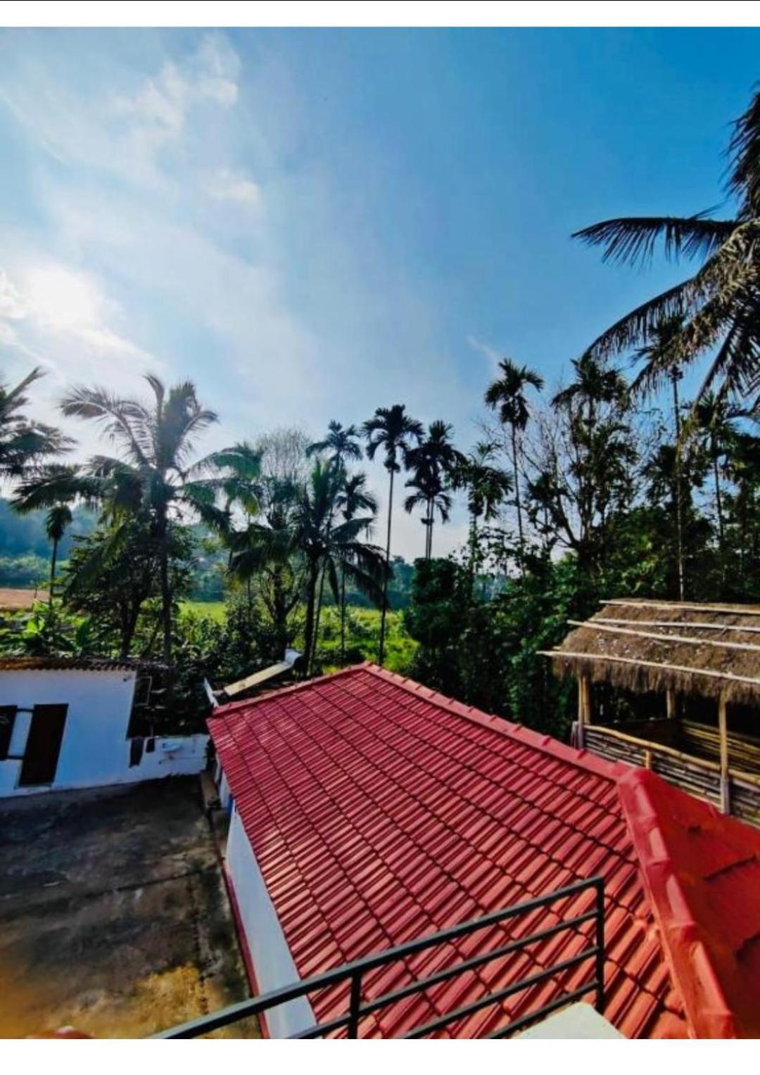 Streaming Valley Independent Coffee Estate Stay Madikeri Exteriér fotografie